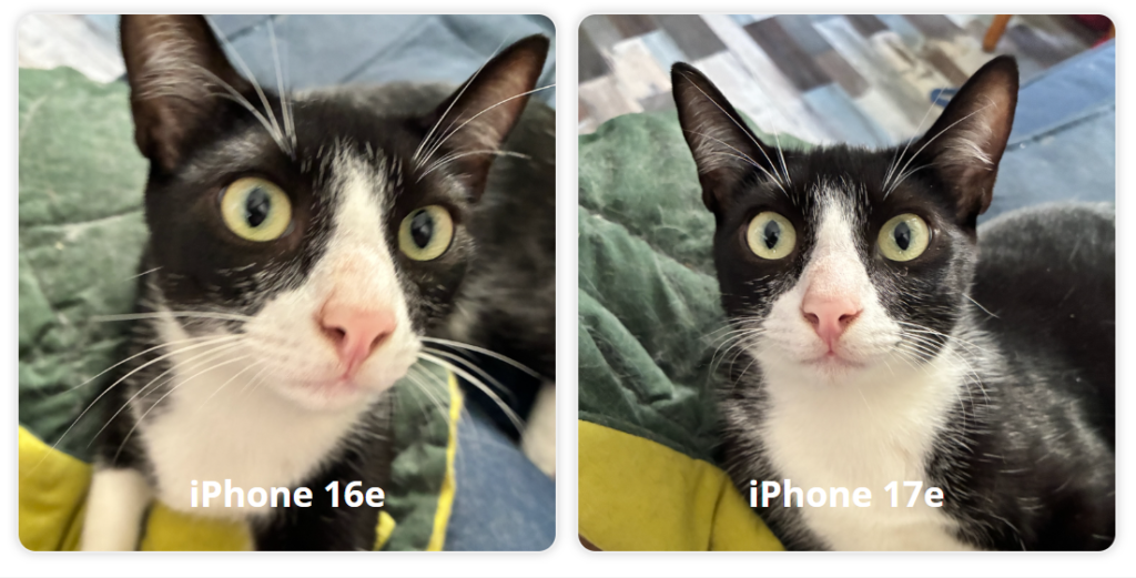 iphone 17e gato